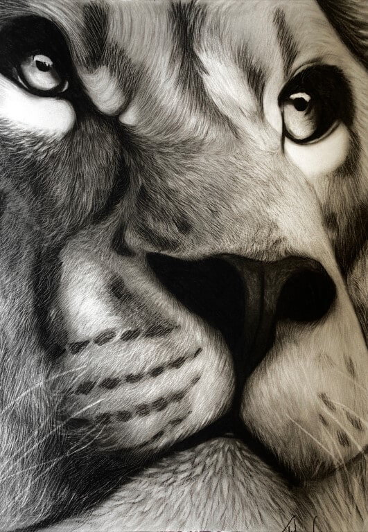 Artist Andressa Ferreira